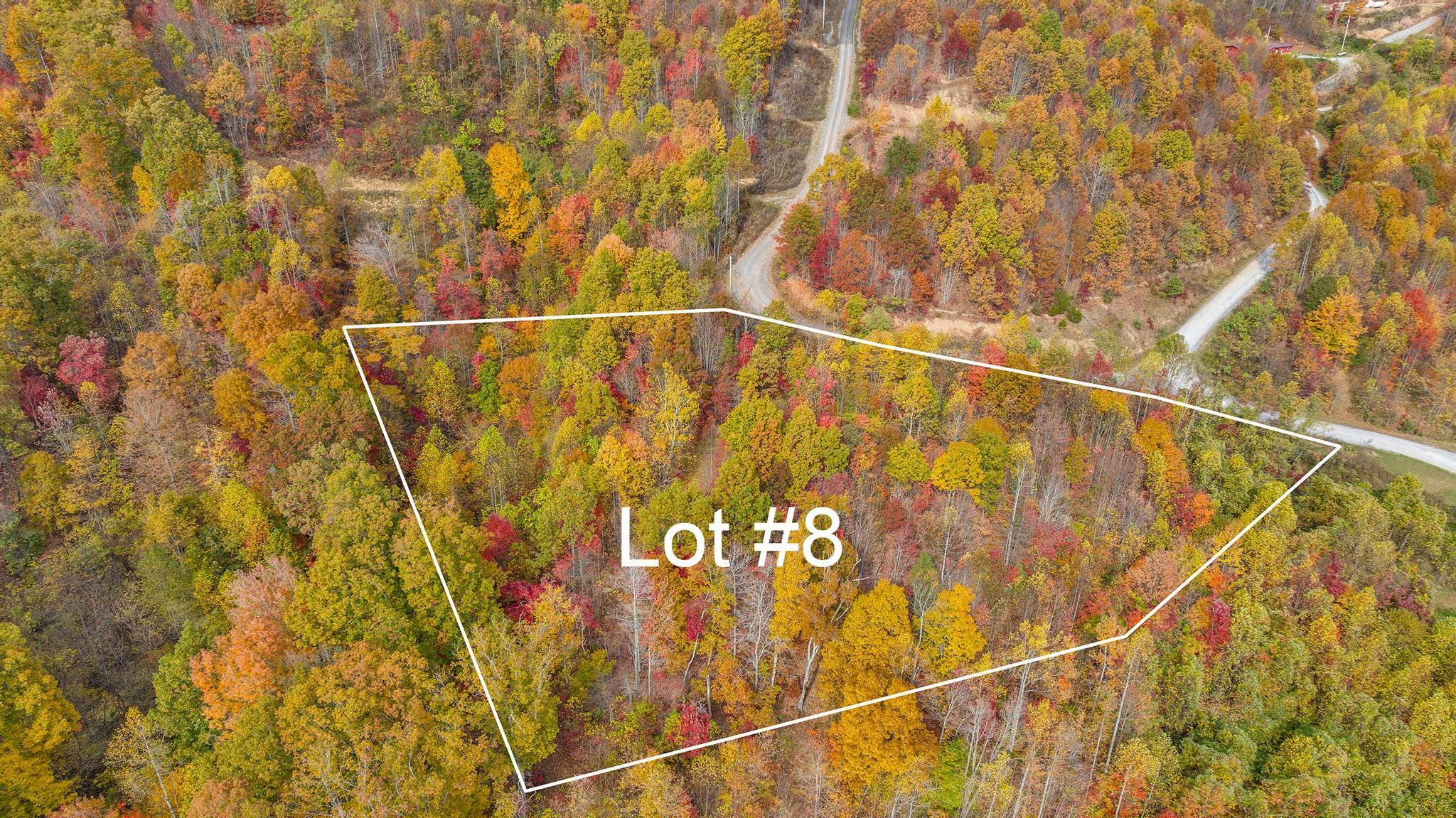 Tbd Majestic  Lot 8 Drive, Duffield, Virginia image 1