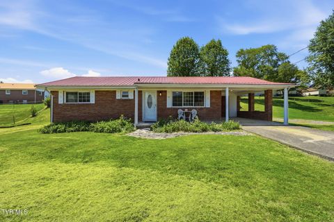 Photo of 212 Alderman Drive, Greeneville, TN 37745 (MLS # 9994486)