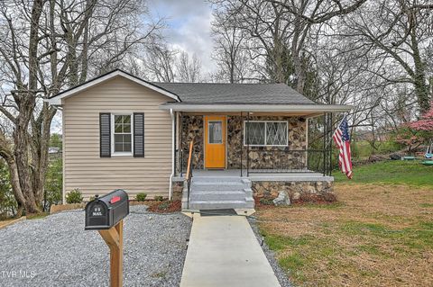 Photo of 5 Birch Street, Bristol, TN 37620 (MLS # 9993378)