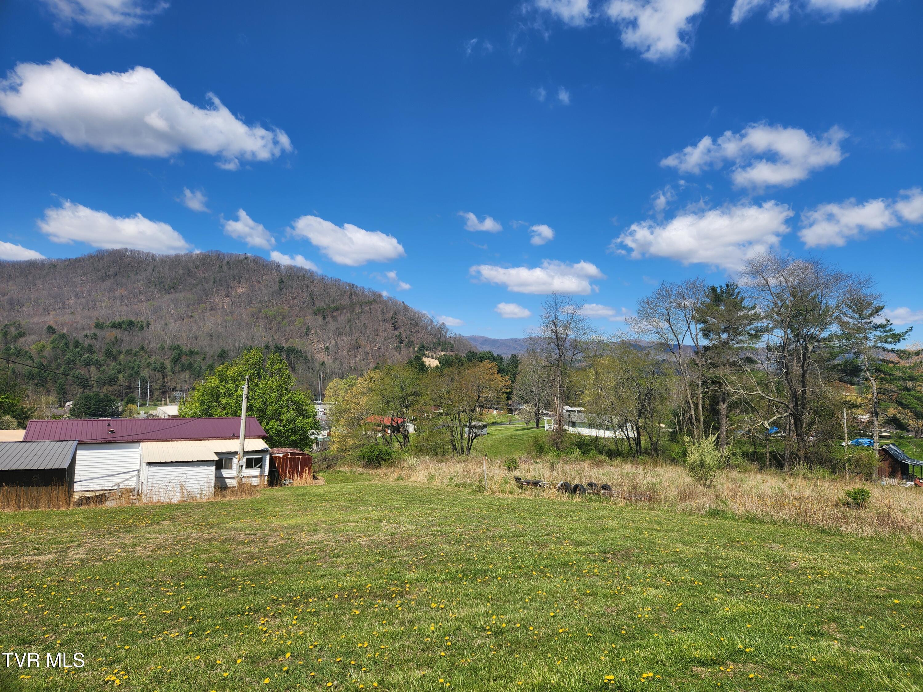 315 Larrys Lane, Mountain City, Tennessee image 2