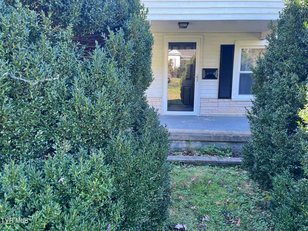 Photo of 1124 1st Avenue, Big Stone Gap, VA 24219 (MLS # 10002541)