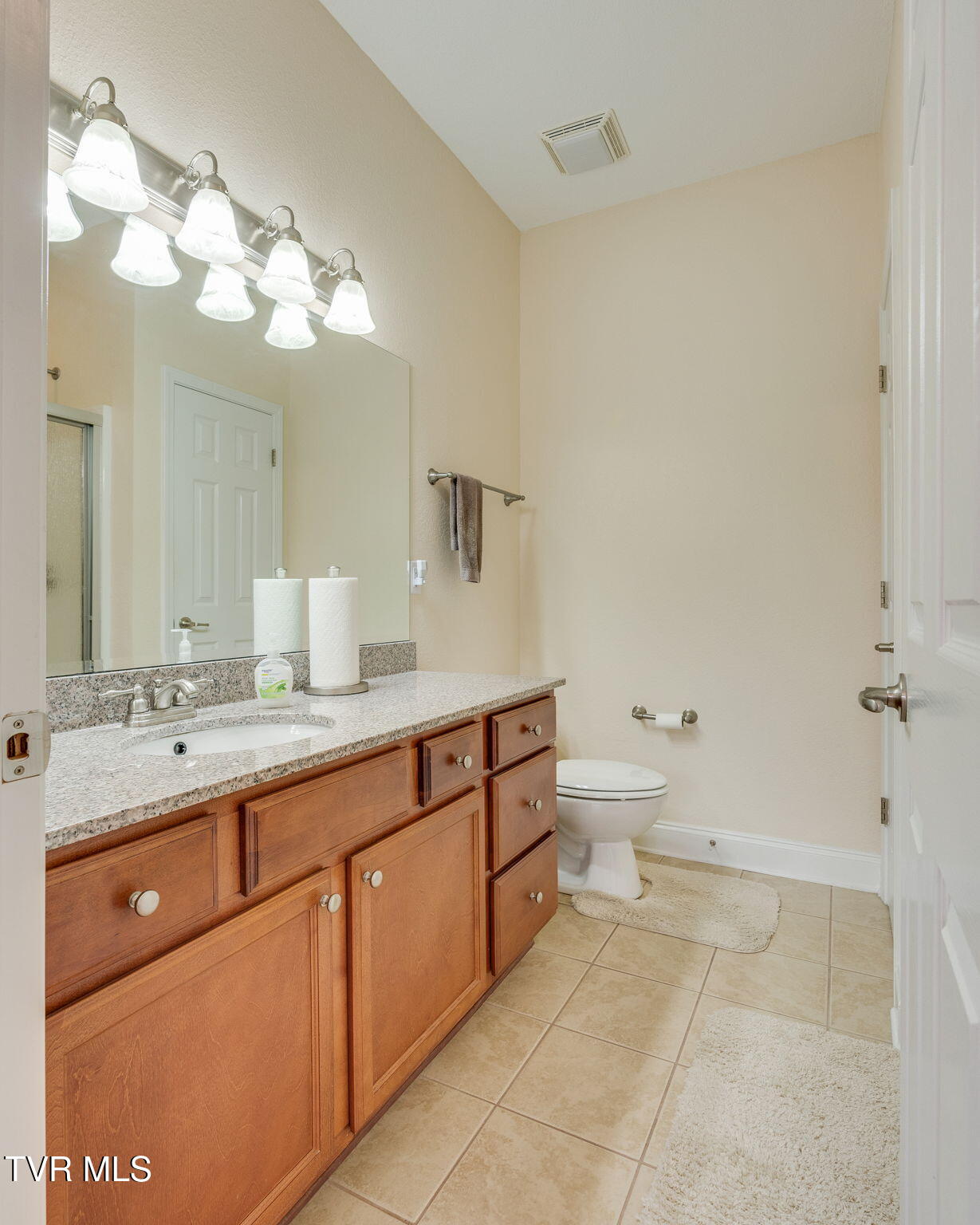 1710 Skyland Falls Court #1710, Kingsport, Tennessee image 23