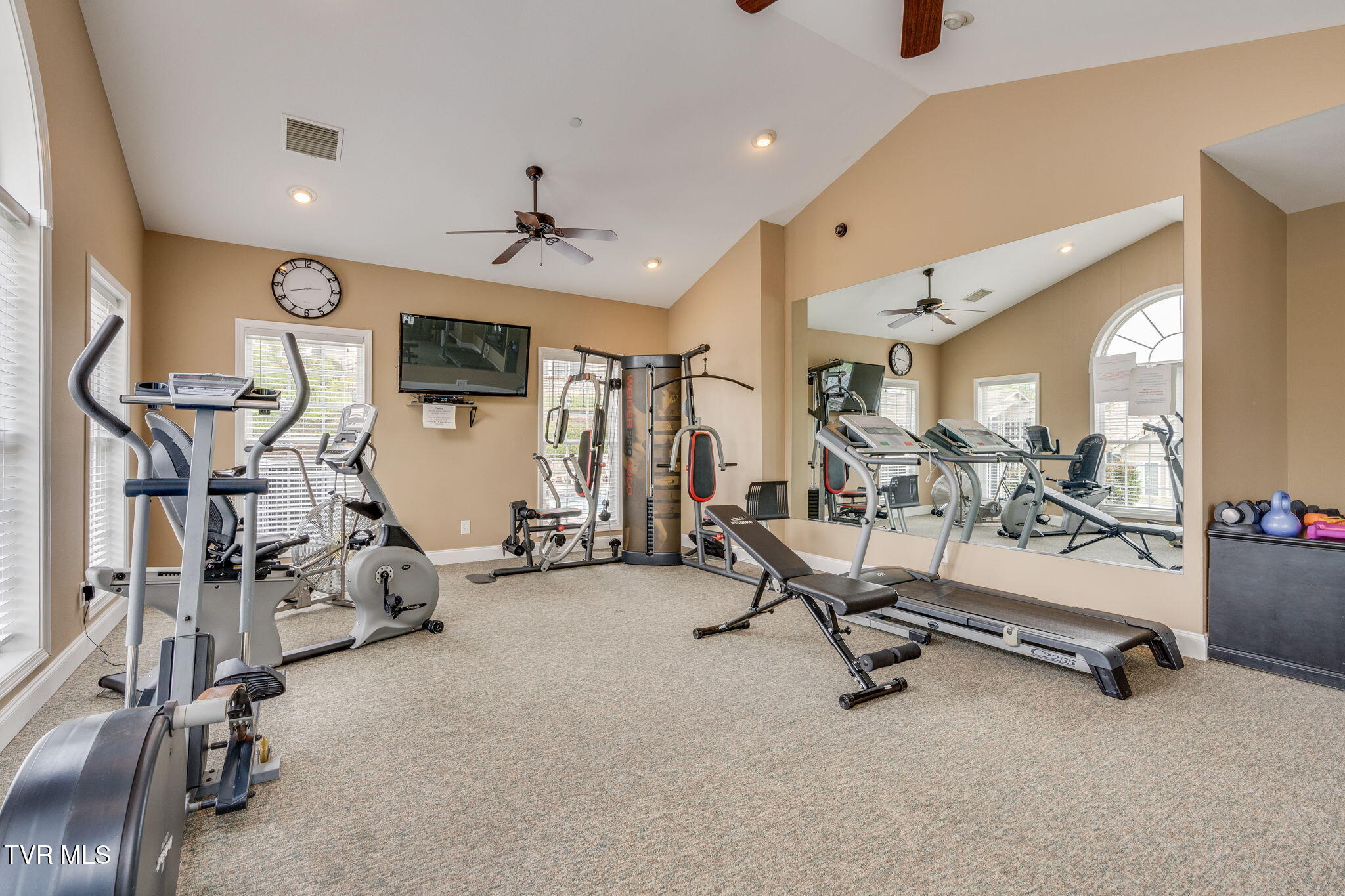 1710 Skyland Falls Court #1710, Kingsport, Tennessee image 36