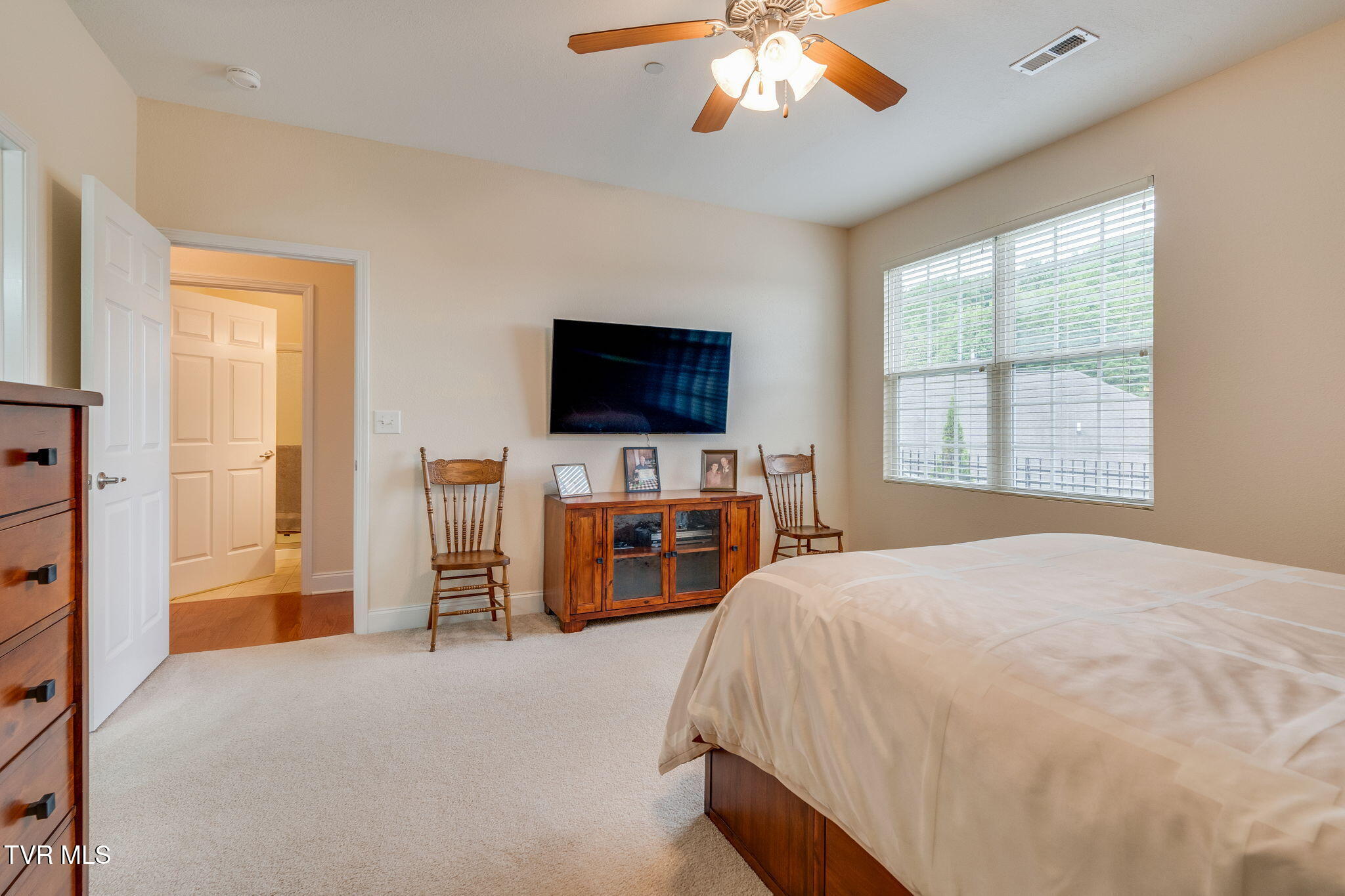 1710 Skyland Falls Court #1710, Kingsport, Tennessee image 22