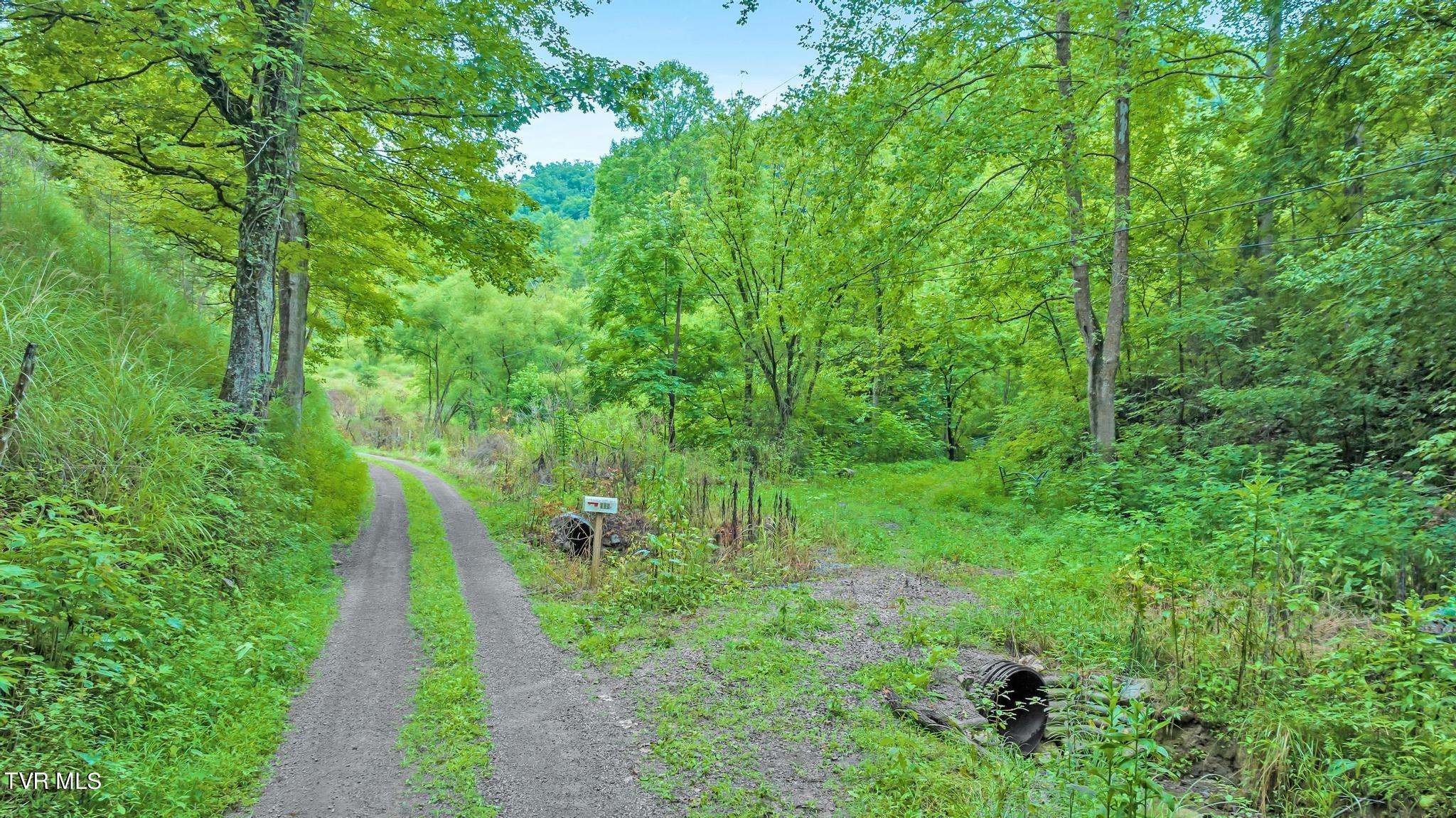 908 Hurd Holw Road, Blackwater, Virginia image 15