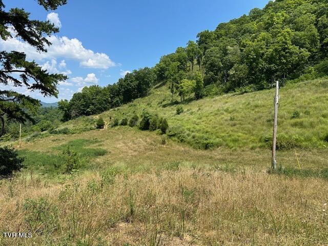 908 Hurd Holw Road, Blackwater, Virginia image 21