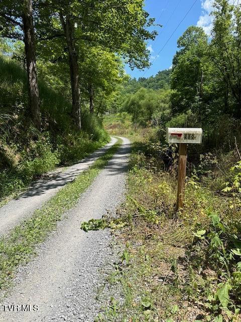 908 Hurd Holw Road, Blackwater, Virginia image 16