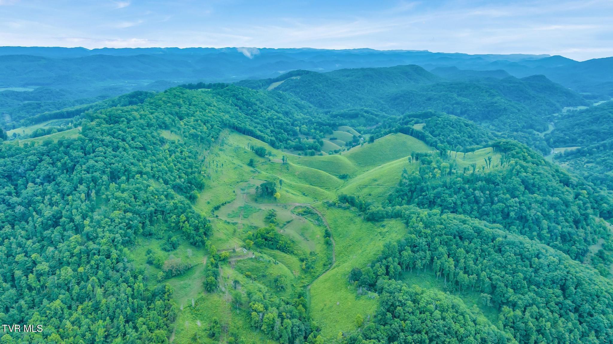908 Hurd Holw Road, Blackwater, Virginia image 14