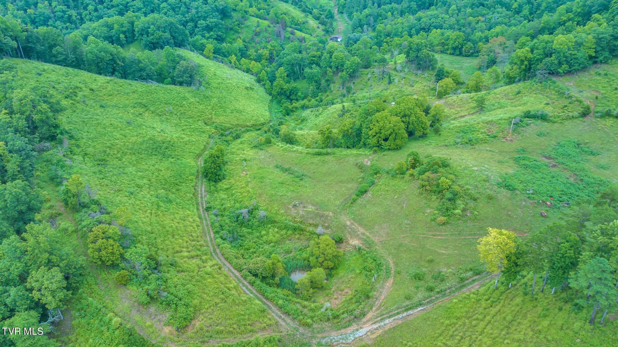 908 Hurd Holw Road, Blackwater, Virginia image 3