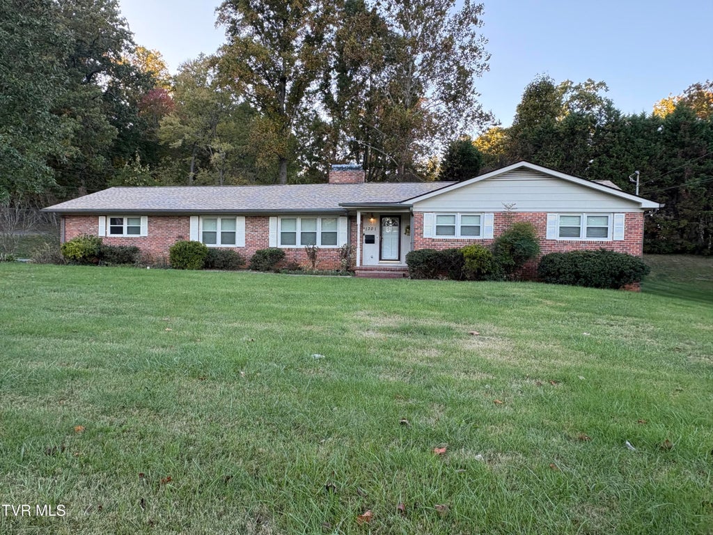 Photo of 1301 11th Avenue, Johnson City, TN 37601 (MLS # 10002527)