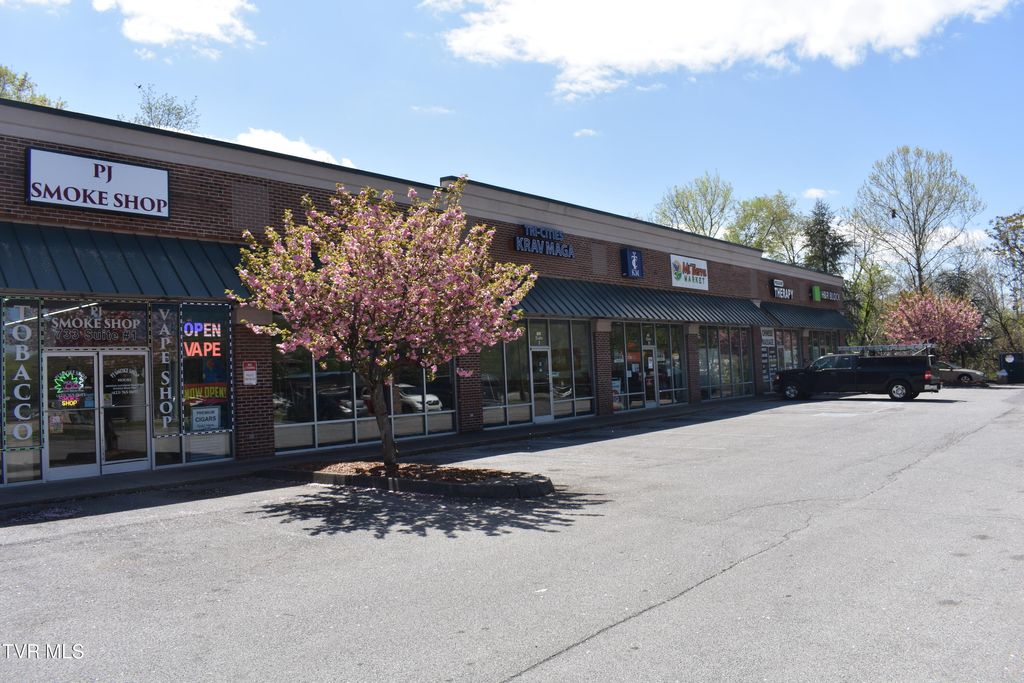 Photo of 733 Stone Drive #2a, Kingsport, TN 37660 (MLS # 9976894)