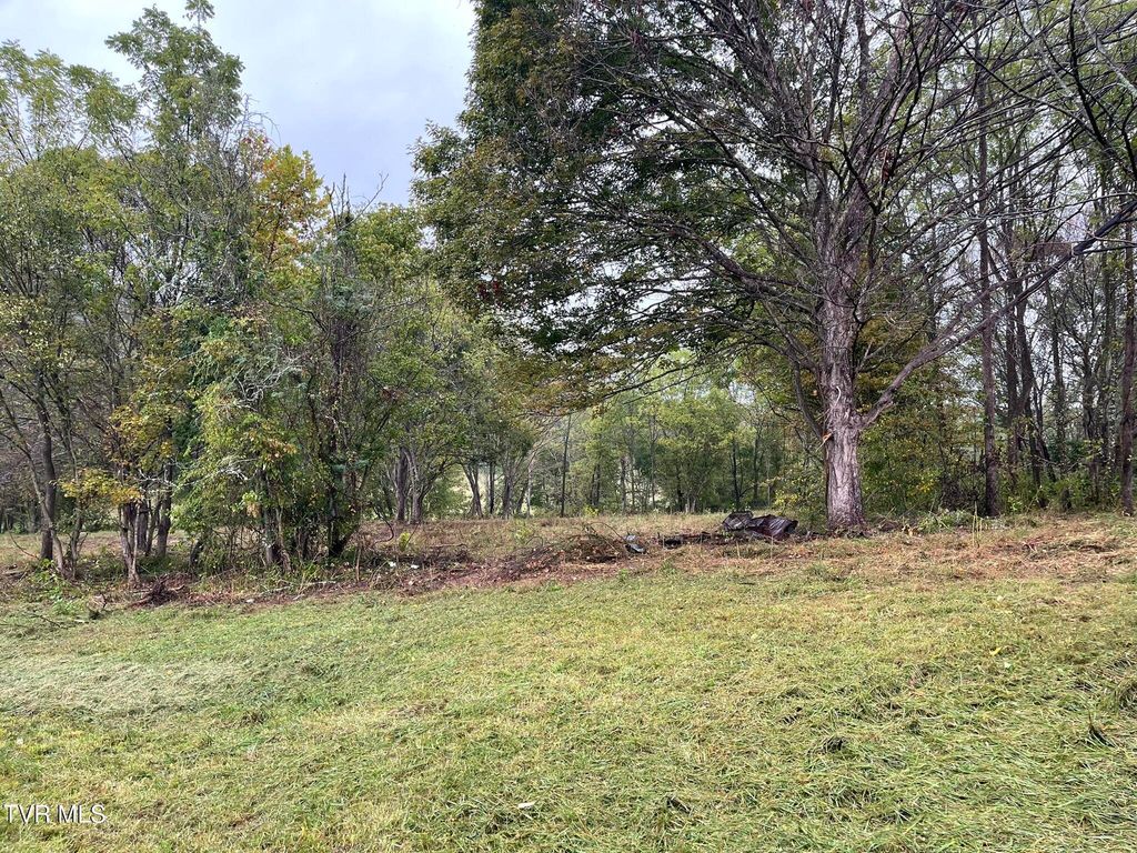 Photo of 203 Treadway Trail, Jonesborough, TN 37659 (MLS # 9987843)