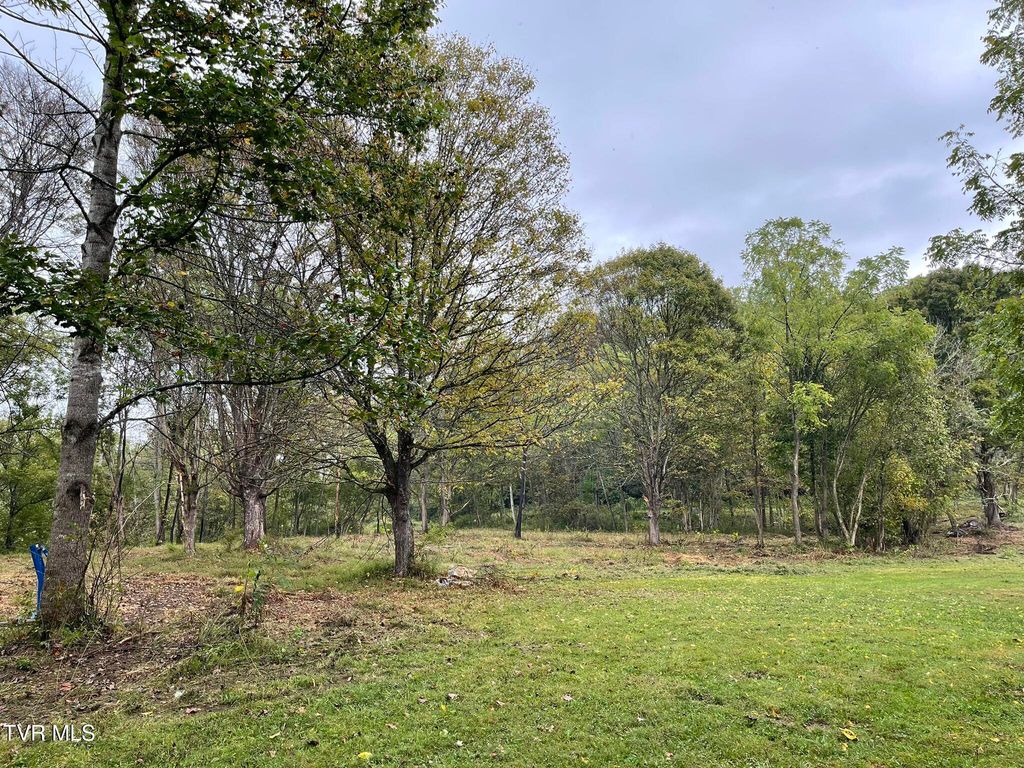 Photo of 203 Treadway Trail, Jonesborough, TN 37659 (MLS # 9987843)