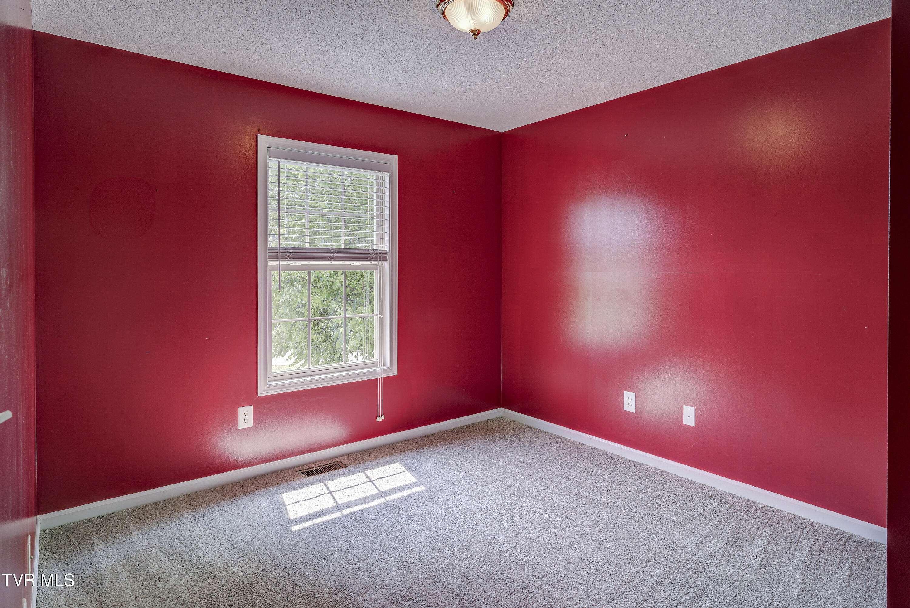 185 Thelma Hannabas Lane, Jonesborough, Tennessee image 21