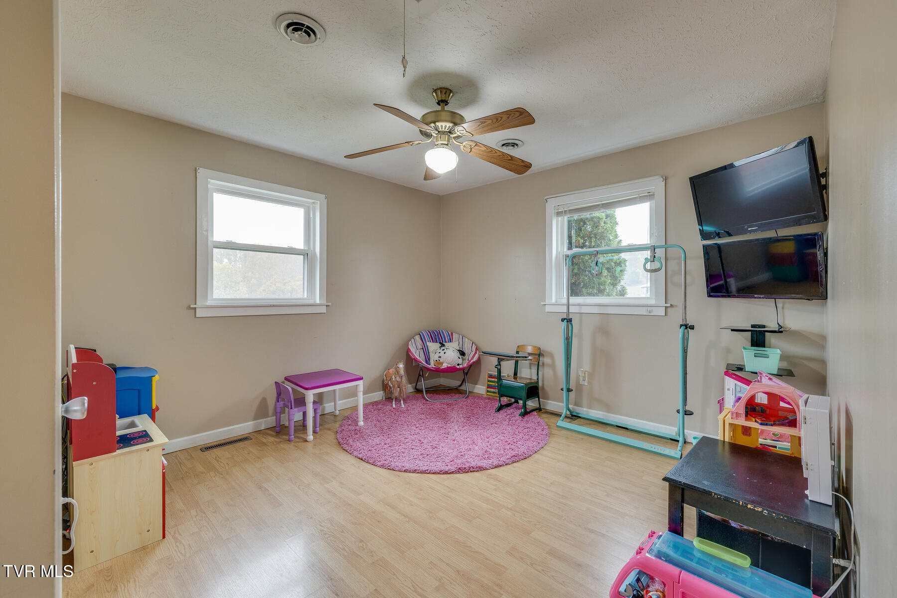 904 Hermitage Lane, Mount Carmel, Tennessee image 22