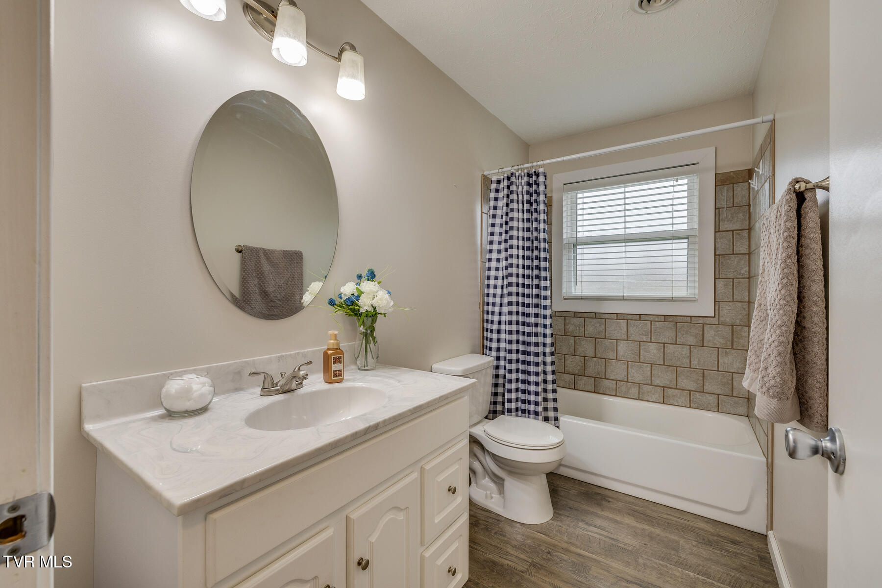 904 Hermitage Lane, Mount Carmel, Tennessee image 21
