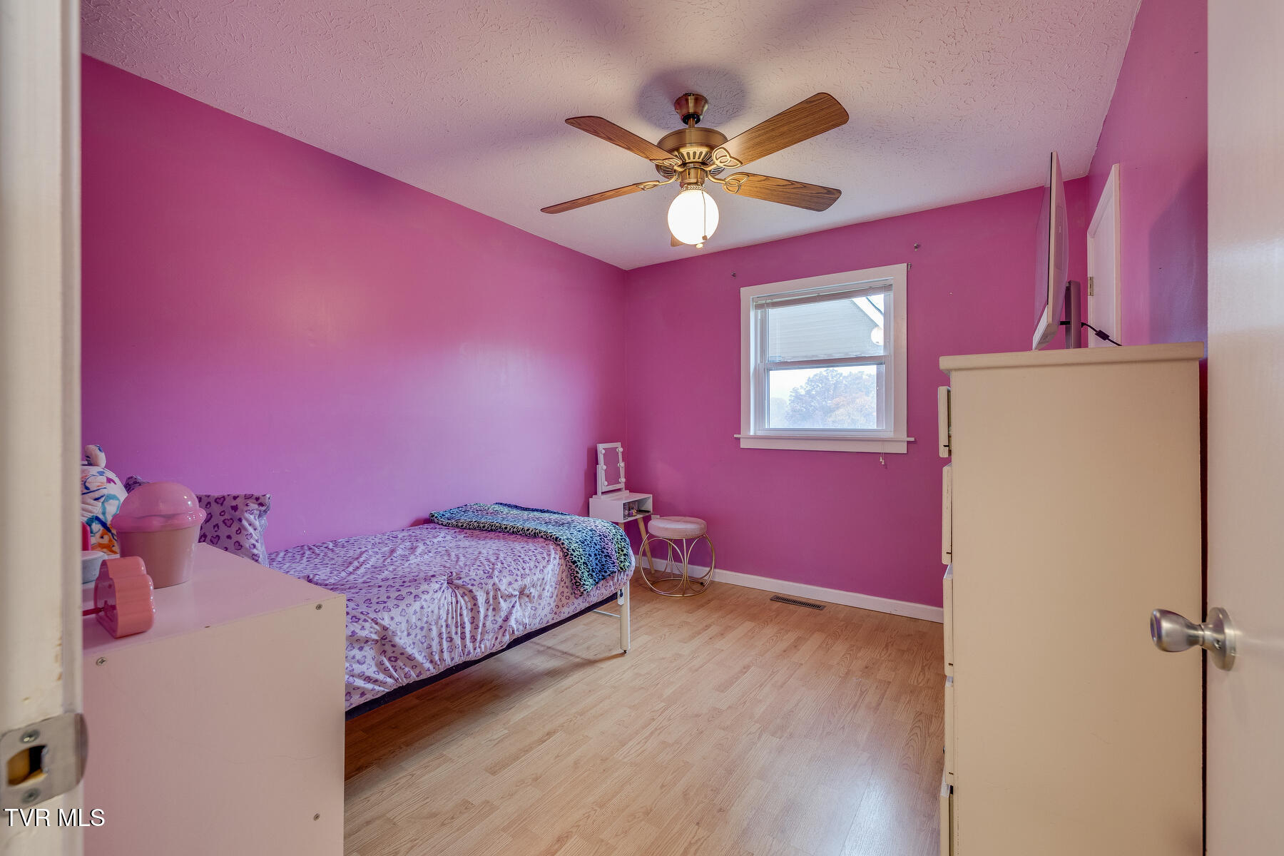 904 Hermitage Lane, Mount Carmel, Tennessee image 24