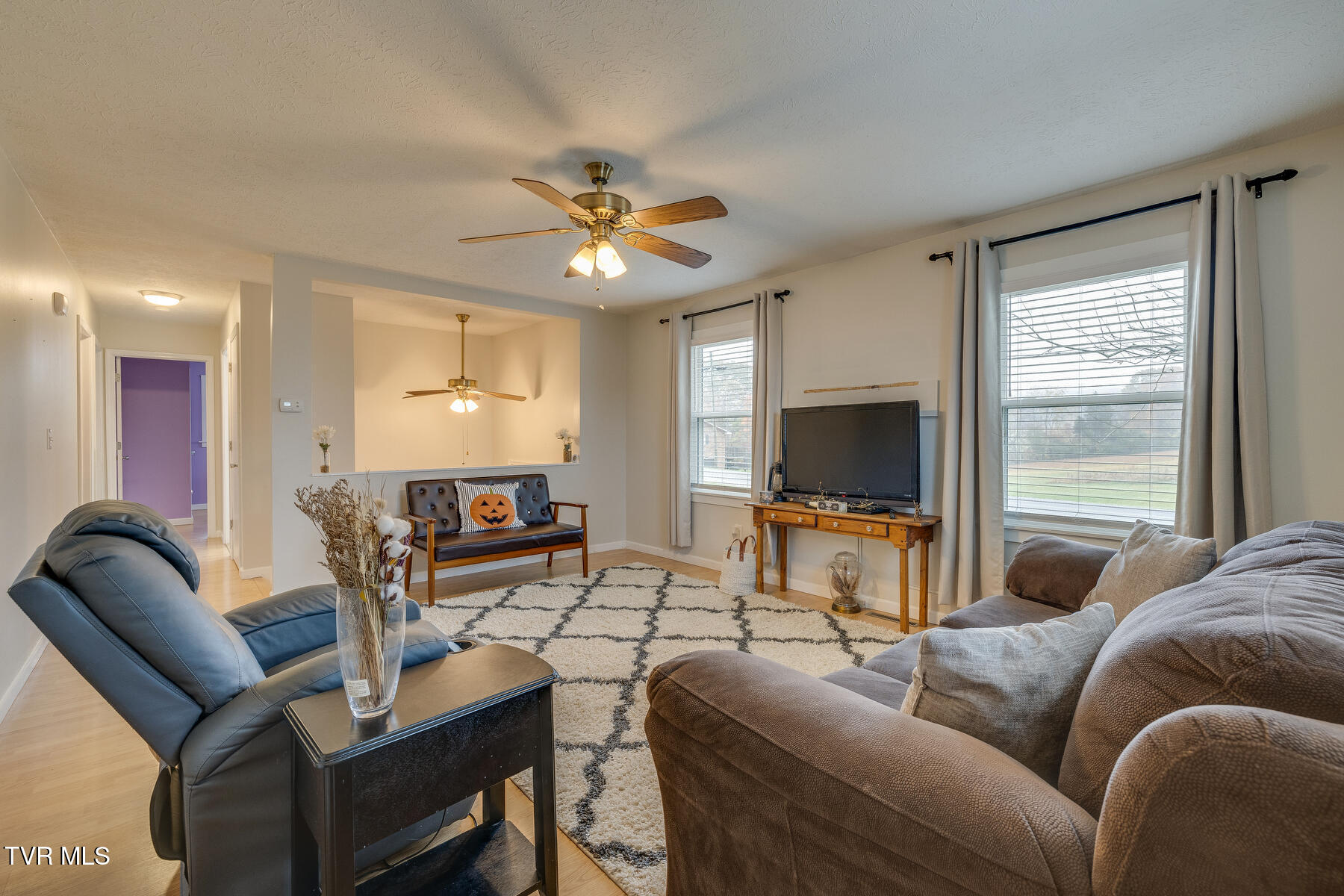 904 Hermitage Lane, Mount Carmel, Tennessee image 8