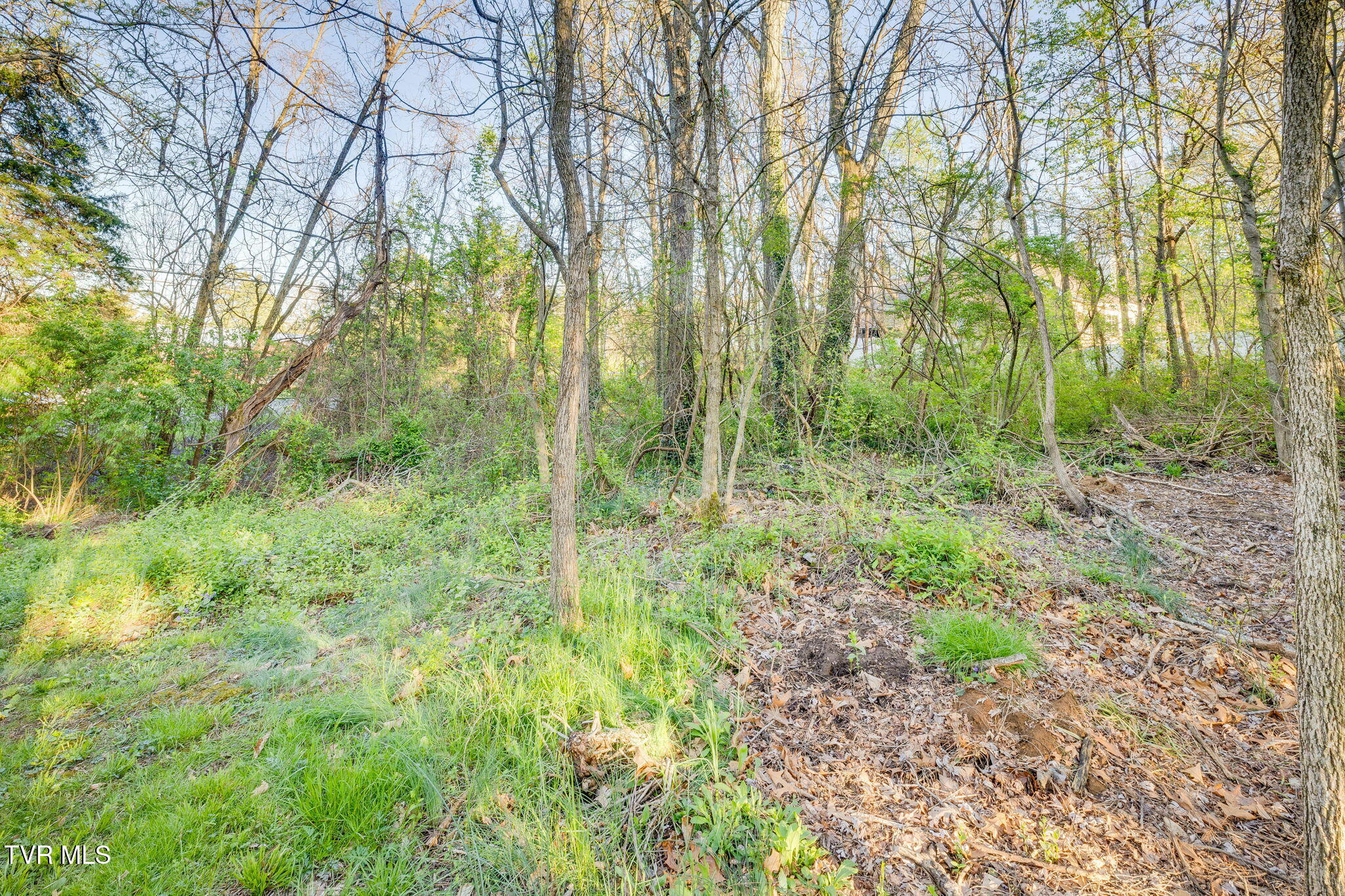 620 Mountainview Road, Johnson City, Tennessee image 14