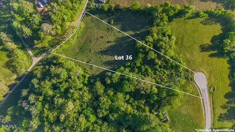 Photo of Tbd Golden Eagle DR #36, Mountain City, TN 37683 (MLS # 9995092)