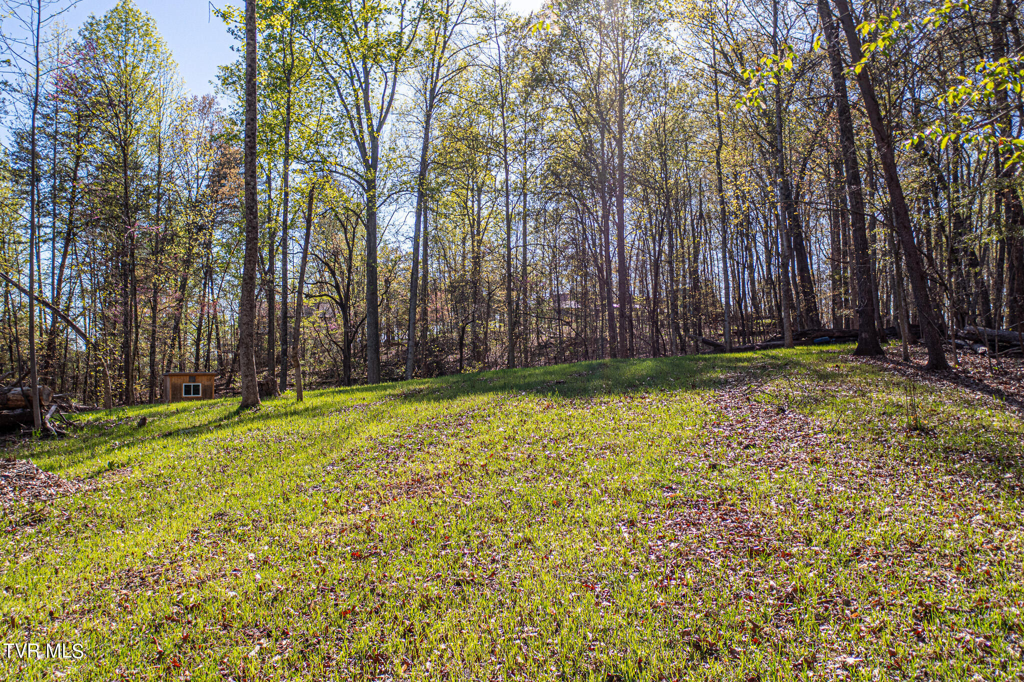 Tbd Independence Avenue, Mount Carmel, Tennessee image 6