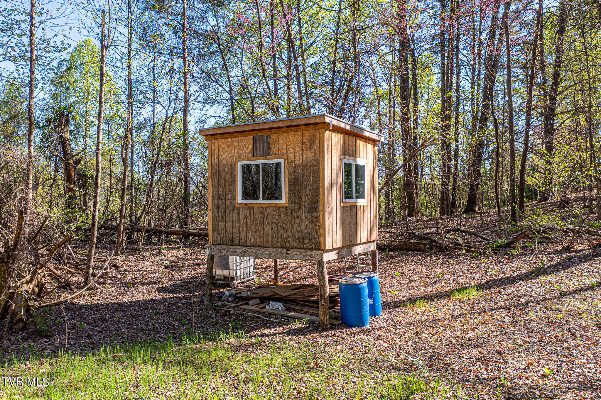 Tbd Independence Avenue, Mount Carmel, Tennessee image 8