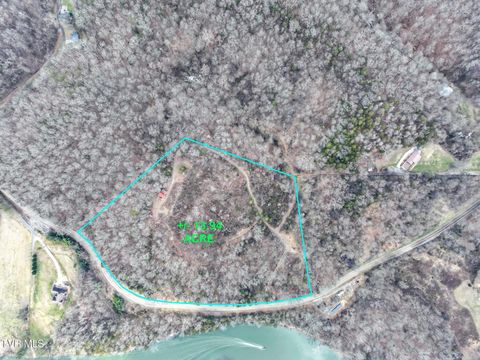 Vacant Land For Sale - 13.94 ACRE Fish Hatchery Road<br/> Mohawk, TN 37810