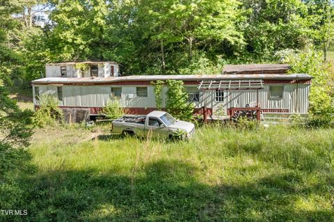 480 Warford Road Newport TN 37821