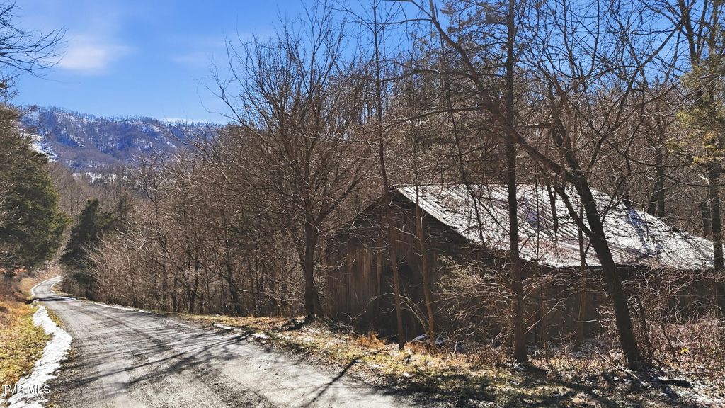 Photo of Tbd Hen Reasor Road, Big Stone Gap, VA 24219 (MLS # 9990964)