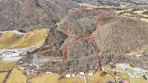 Vacant Land For Sale - TBD Hen Reasor Road<br/> Lee County, Big Stone Gap, VA 24219