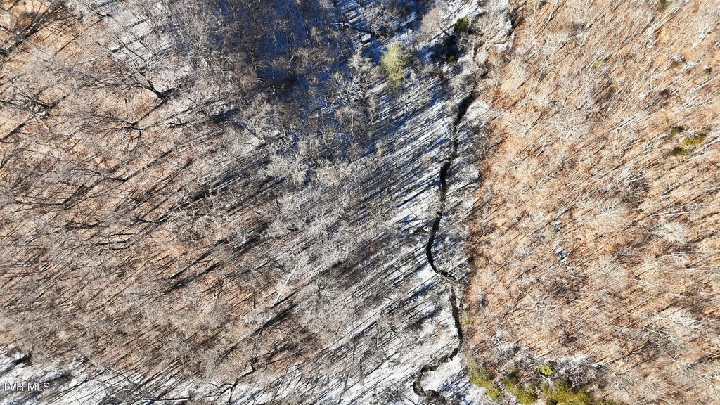 Photo of Tbd Hen Reasor Road, Big Stone Gap, VA 24219 (MLS # 9990964)