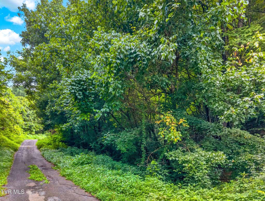 Photo of 150 Mcmakin Road, Rogersville, TN 37857 (MLS # 9998652)