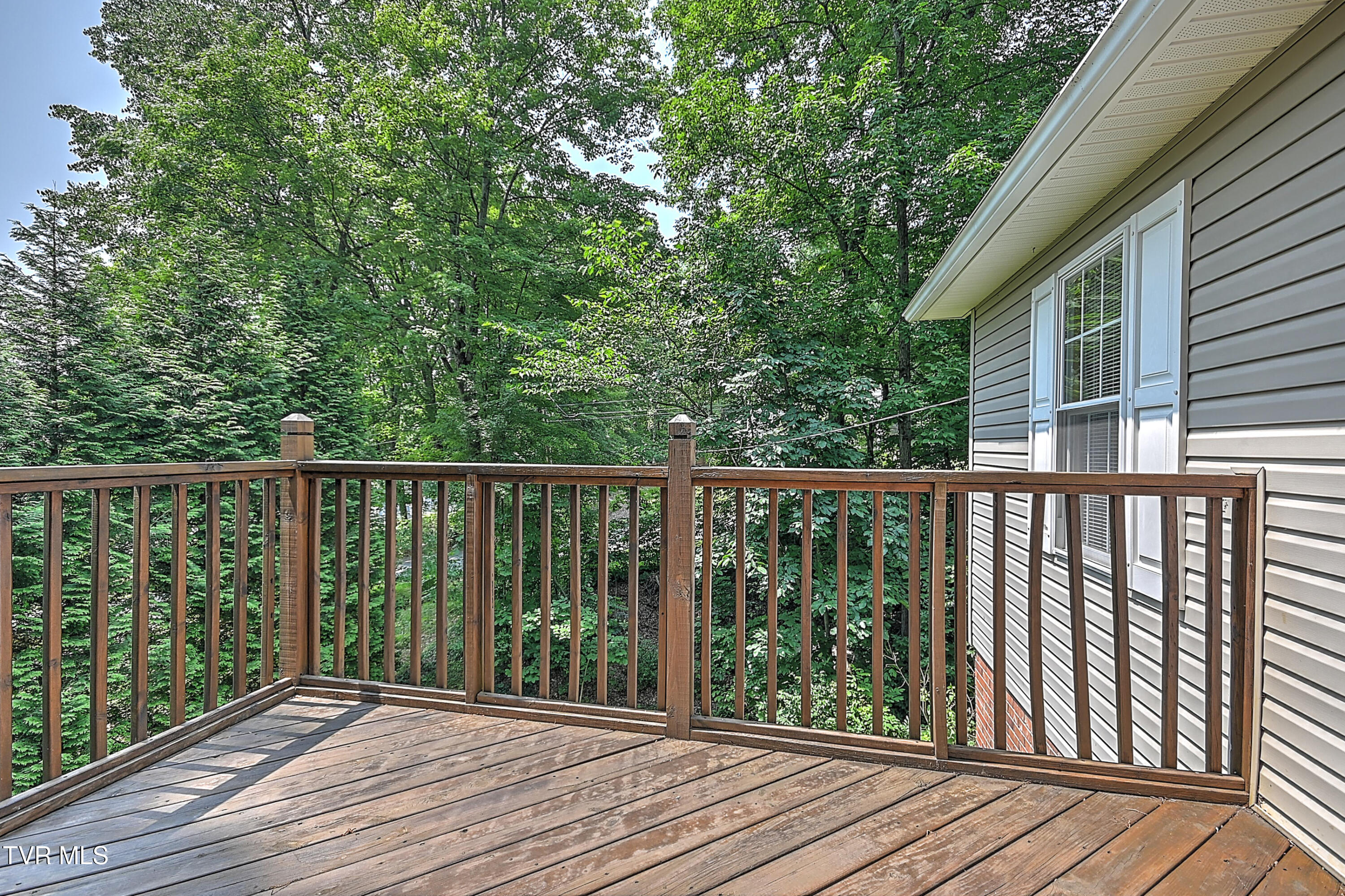 800 Lazywood Drive, Johnson City, Tennessee image 44