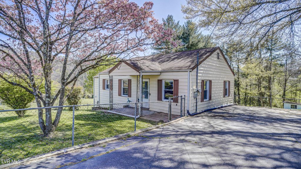 Photo of 314 Morris Street, Bristol, TN 37620 (MLS # 9993936)