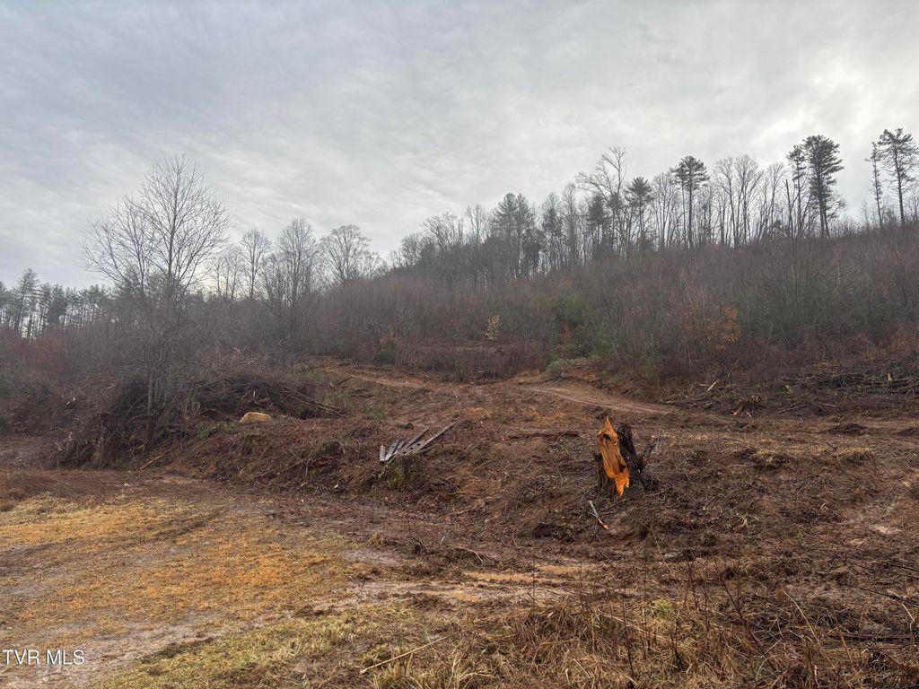 Photo of 00 Houser, Mountain City, TN 37683 (MLS # 9991410)