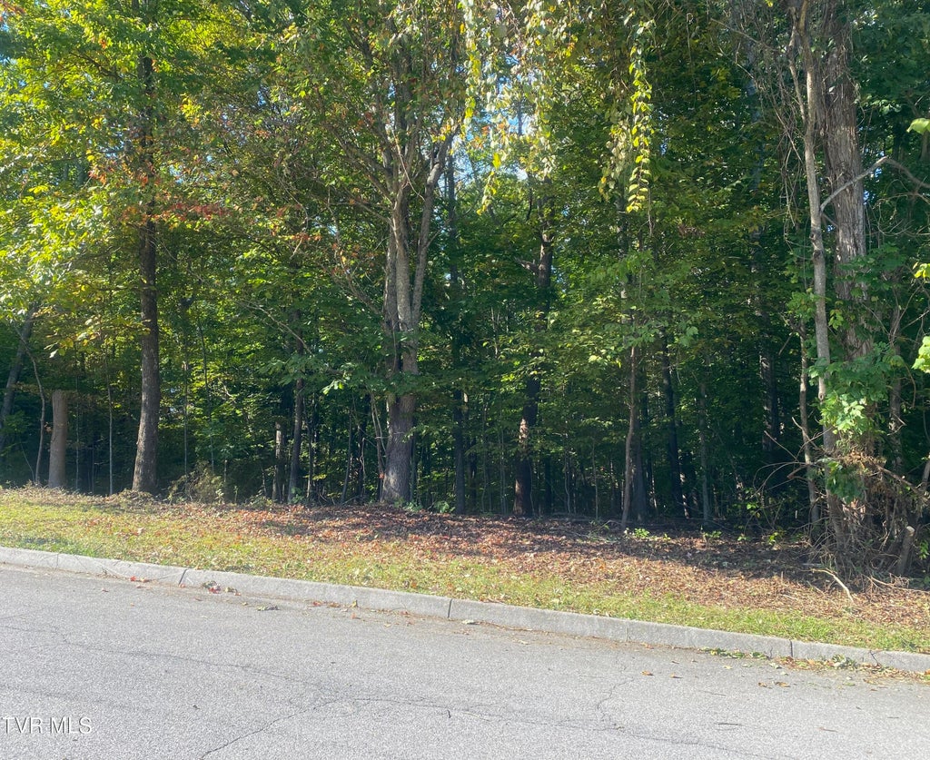 Photo of 139 Allison Timbers Road, Piney Flats, TN 37686 (MLS # 10002014)