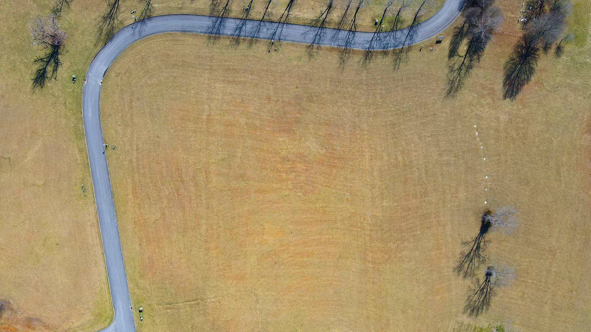 Lot 67 Walnut Tree Drive, Church Hill, Tennessee image 1