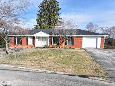 Photo of 113 Wayfair Drive, Greeneville, TN 37743 (MLS # 9990190)