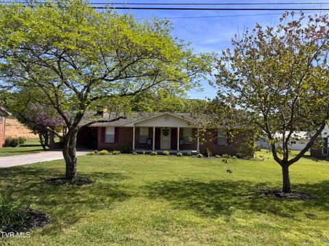 Photo of 140 Lena Drive, Rogersville, TN 37857 (MLS # 9995164)