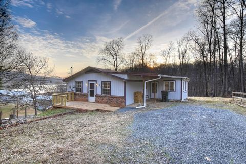 Photo of 137 Valley Street, Gray, TN 37615 (MLS # 9991820)