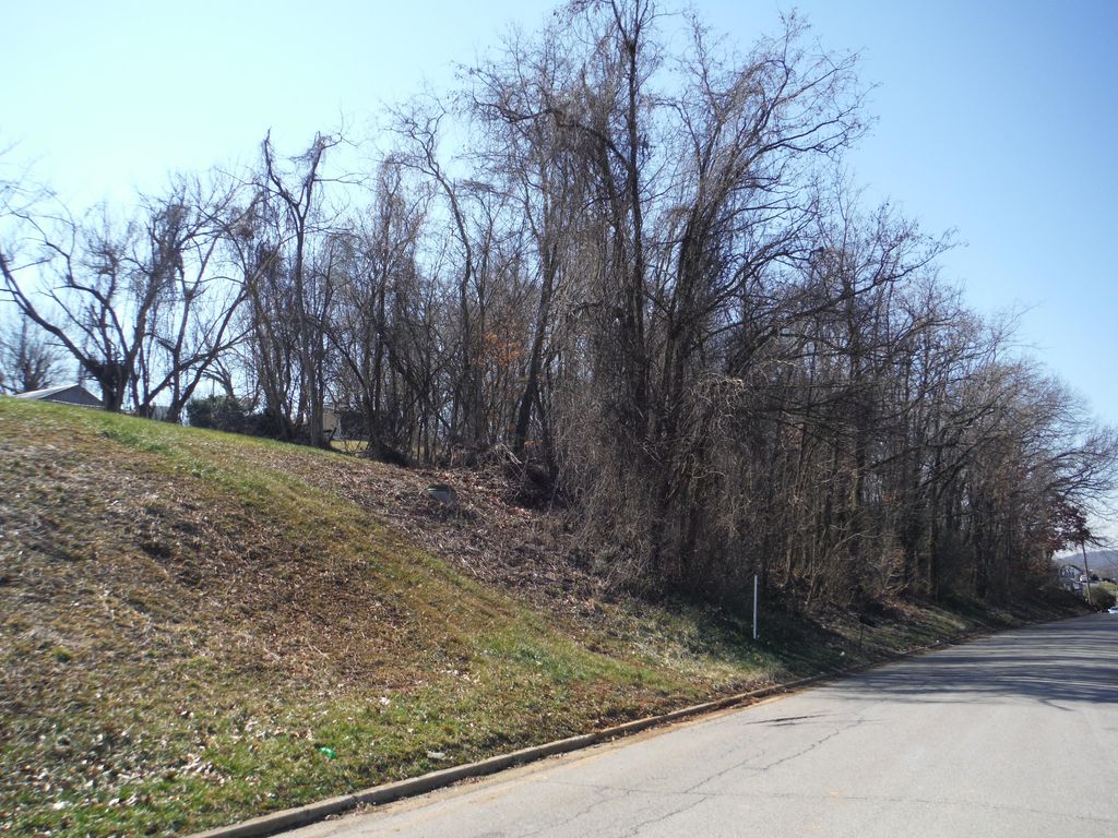 Photo of 0 Locust Street, Greeneville, TN 37745 (MLS # 9918451)
