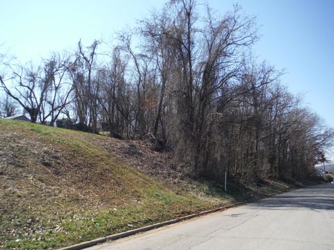 Vacant Land For Sale - Locust Street<br/> Greeneville, TN 37745