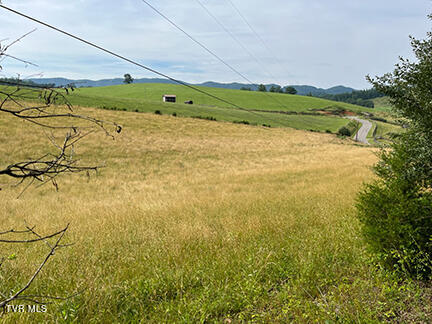 00 Fleenor Town Road, Jonesville, Virginia image 2