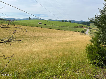 00 Fleenor Town Road, Jonesville, Virginia image 3