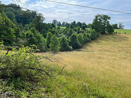 00 Fleenor Town Road, Jonesville, Virginia image 7