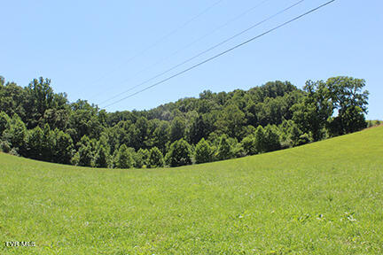 00 Fleenor Town Road, Jonesville, Virginia image 8