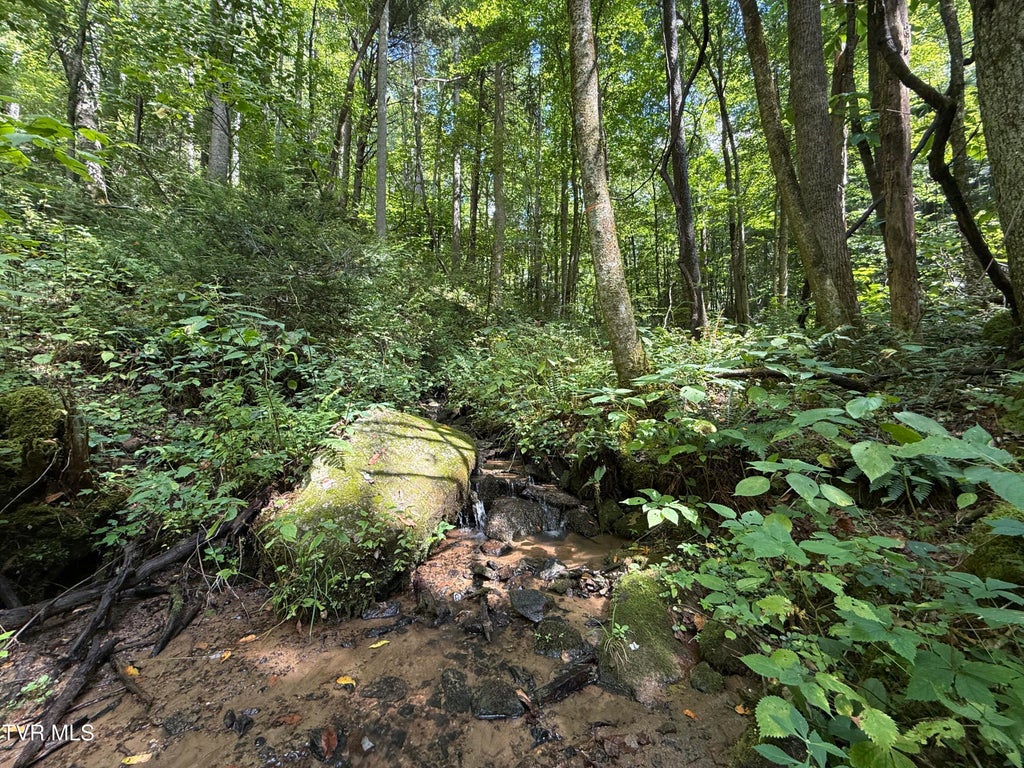 Photo of Tbd Dennis Cove Rd Road, Hampton, TN 37658 (MLS # 10000257)