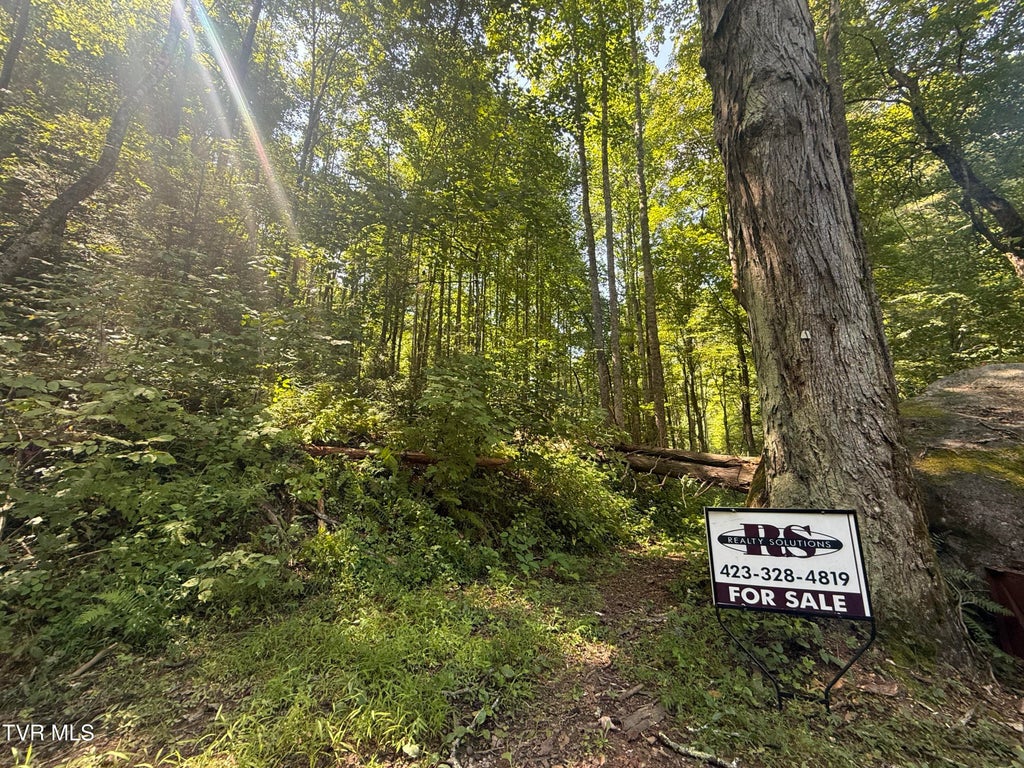 Photo of Tbd Dennis Cove Rd Road, Hampton, TN 37658 (MLS # 10000257)