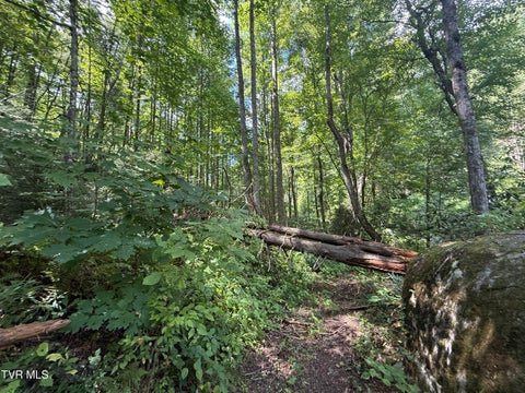 Vacant Land For Sale - TBD Dennis Cove Rd Road<br/> Carter County, Hampton, TN 37658
