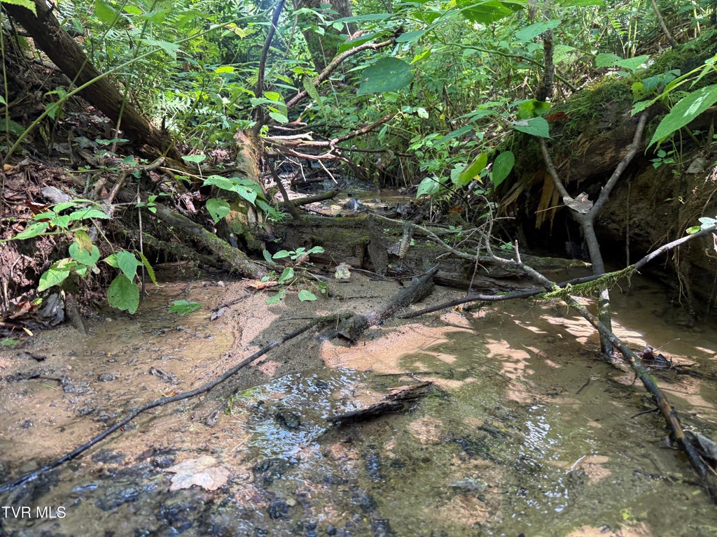Photo of Tbd Dennis Cove Rd Road, Hampton, TN 37658 (MLS # 10000257)